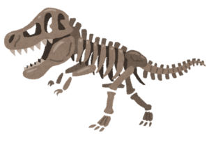ティラノサウルスの化石（骨格標本）のイラスト